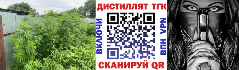 цены наркотик  Кинешма  ТГК вейп 