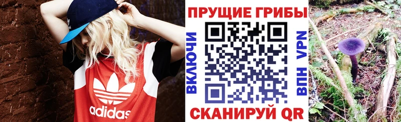 Псилоцибиновые грибы мицелий  Кинешма 