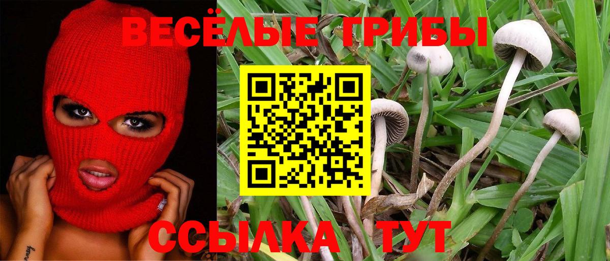 Псилоцибиновые грибы ЛСД  Вход с VPN  Кинешма 