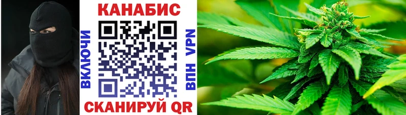 маркетплейс наркотические препараты  Кинешма  Канабис Ganja  где найти наркотики 